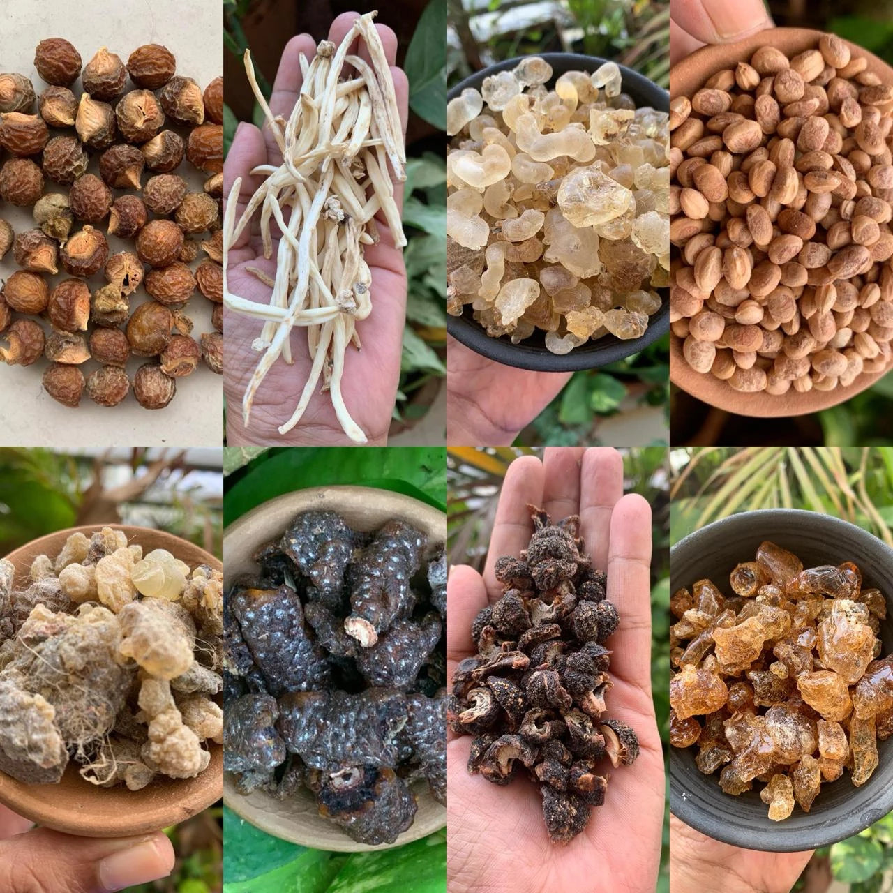 Raw Herbs and Forest Produce