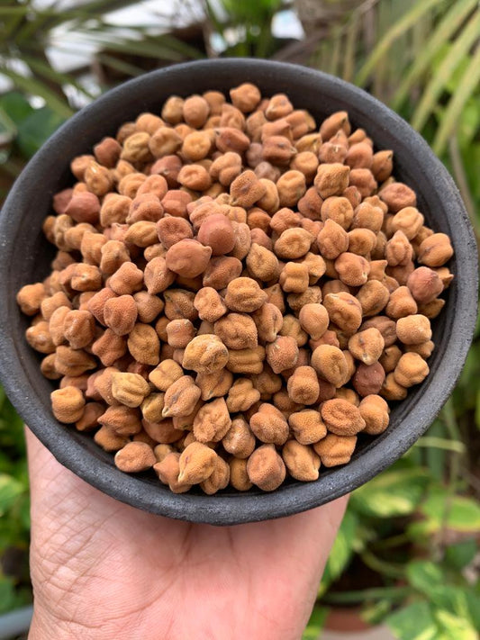 Aranya Black Chana(Bengal Gram)