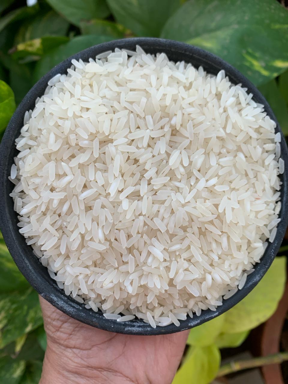 Aranya Bangalo Rice