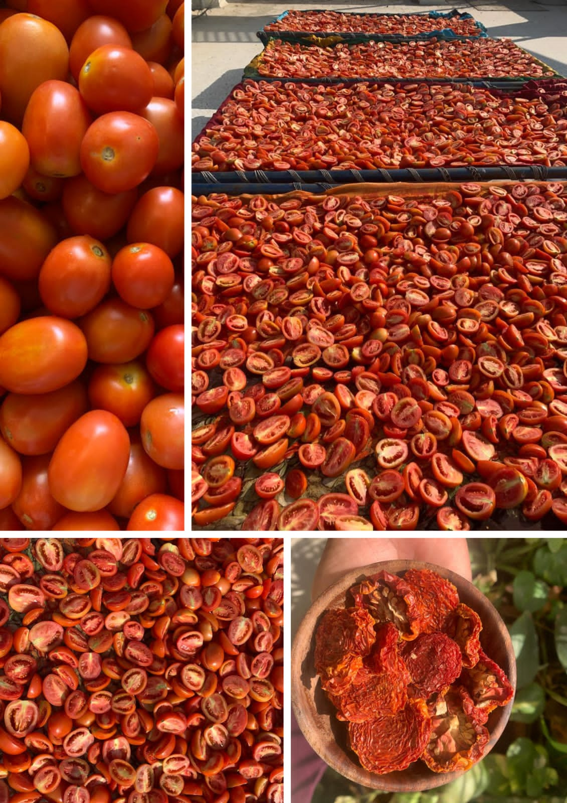 Sun dried tomatoes